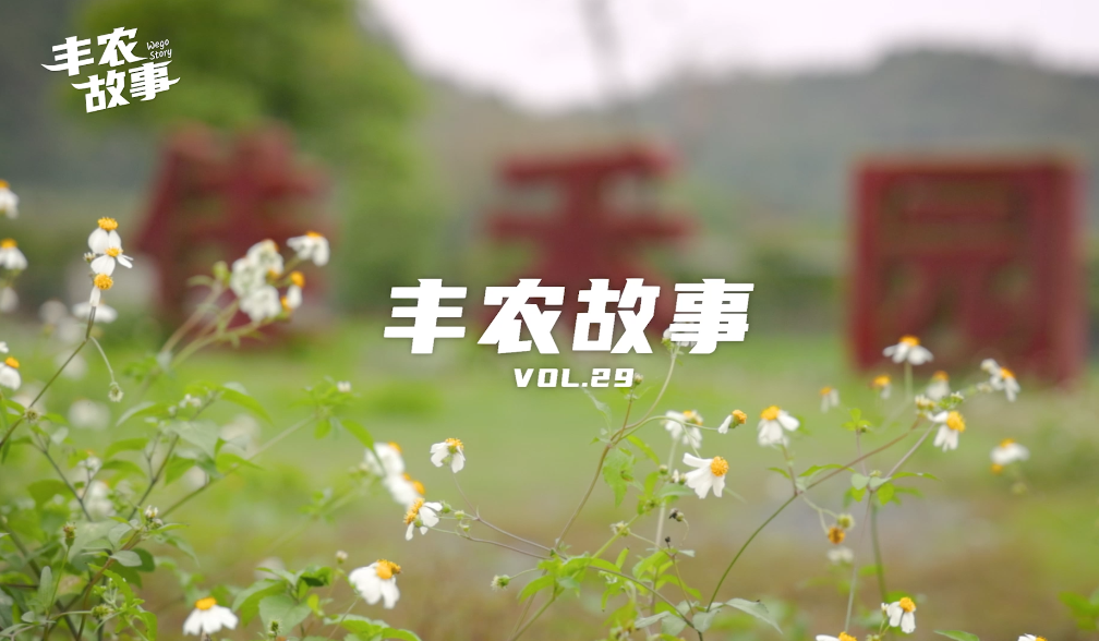 丰农故事VOL.29 耕读文旅“一站式”体验农旅融合规划师