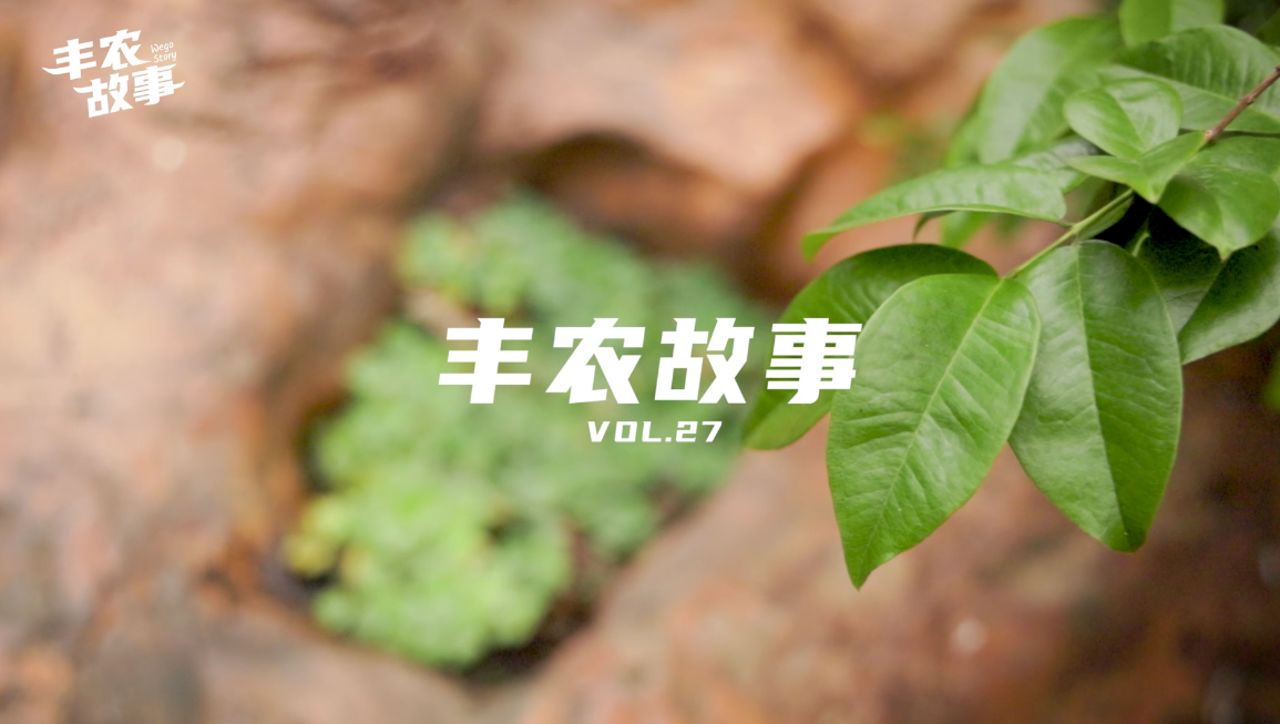 ũVOL.27 ֲ硰ɫ